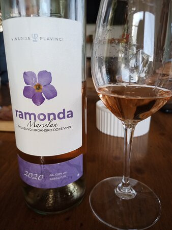 Plavinci Organic Winery-Zaklopaca必去景点