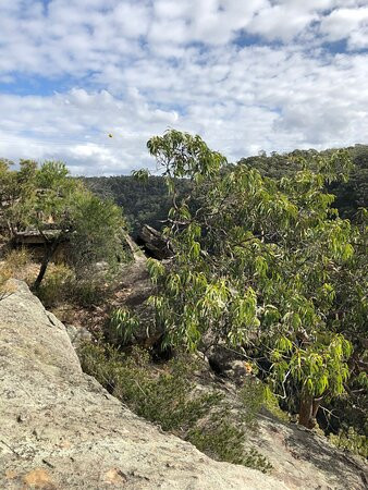 Mount Riverview Fire Trail景点图片