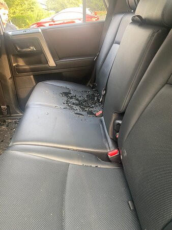 Holiday Inn St. Louis - Downtown Conv Ctr By IHG主图