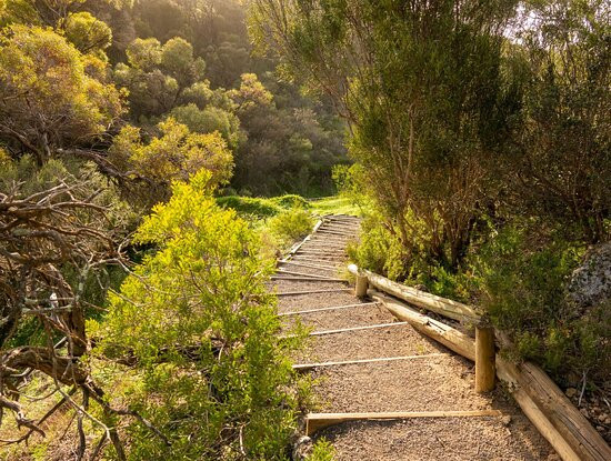 Port Vincent Motel & Apartments主图