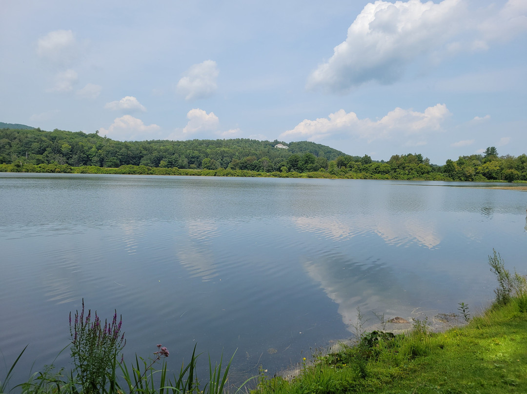 Paradise Park-Windsor必去景点