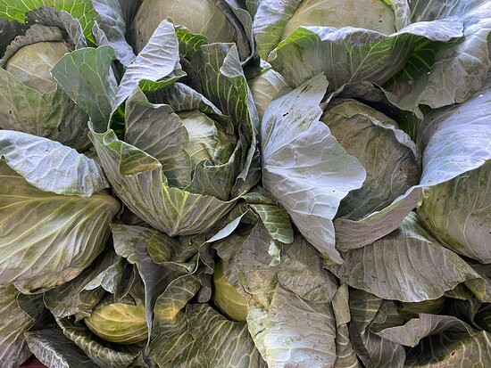 Troyers Country Market-Millersburg必去景点