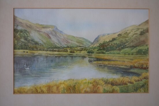 Talyllyn Lake景点图片