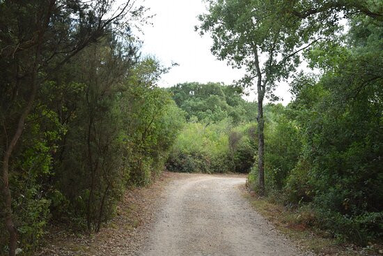 Parco Di Gianola E Monte Di Scauri-Formia必去景点