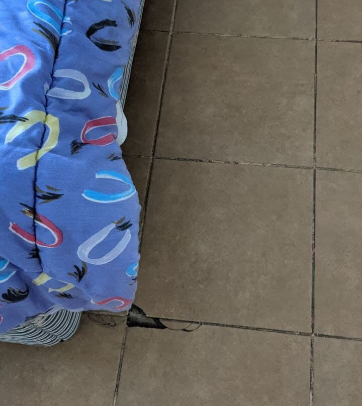 圣雷莫酒店主图