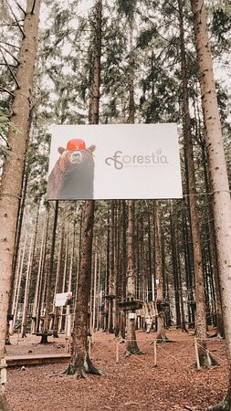 Forestia景点图片