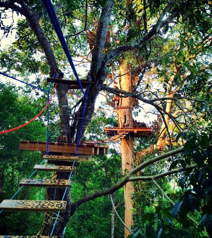 High Point Adventure Park景点图片