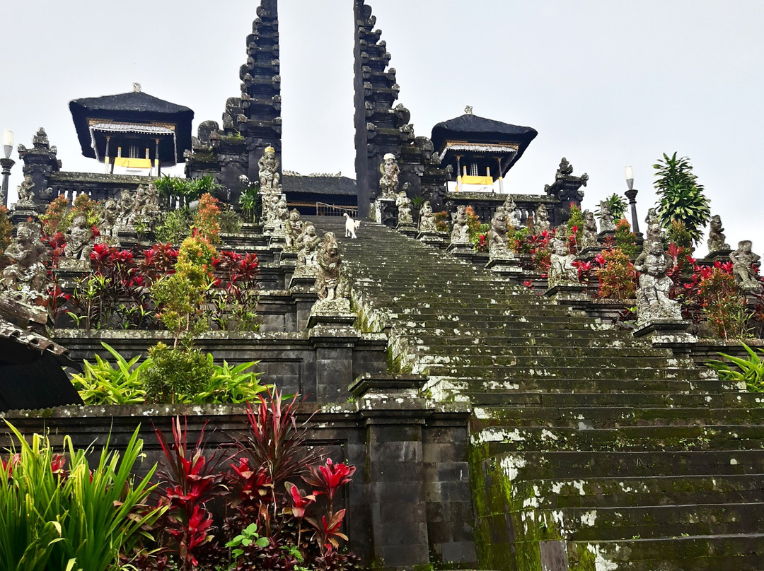 Peaceful Bali Tour-乌布必去景点