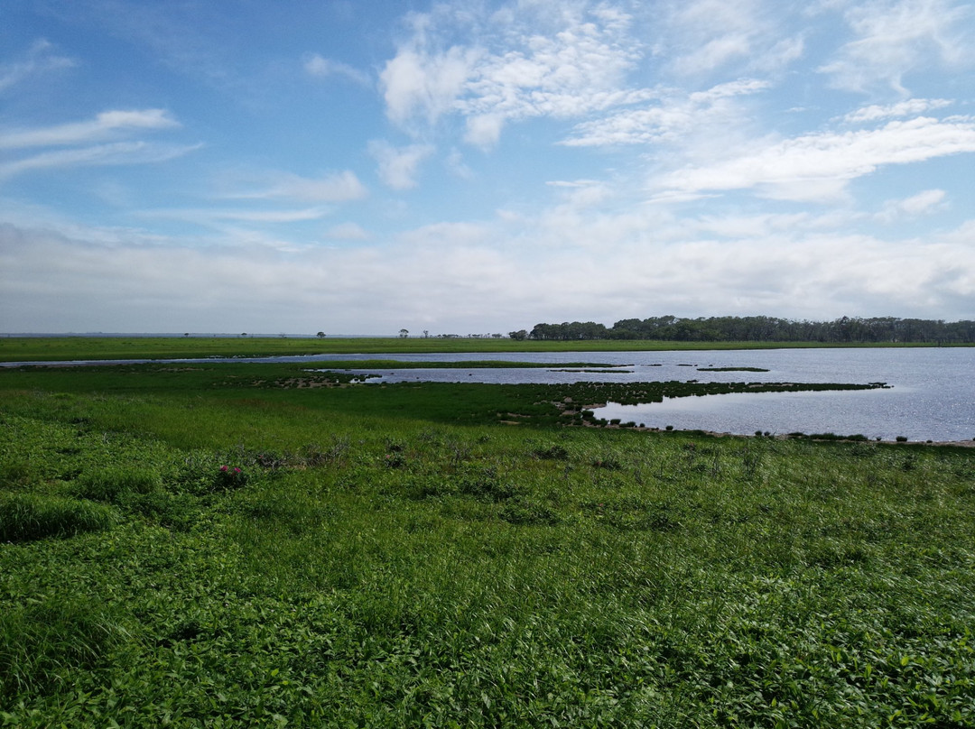 Notsuke Peninsula-别海町必去景点