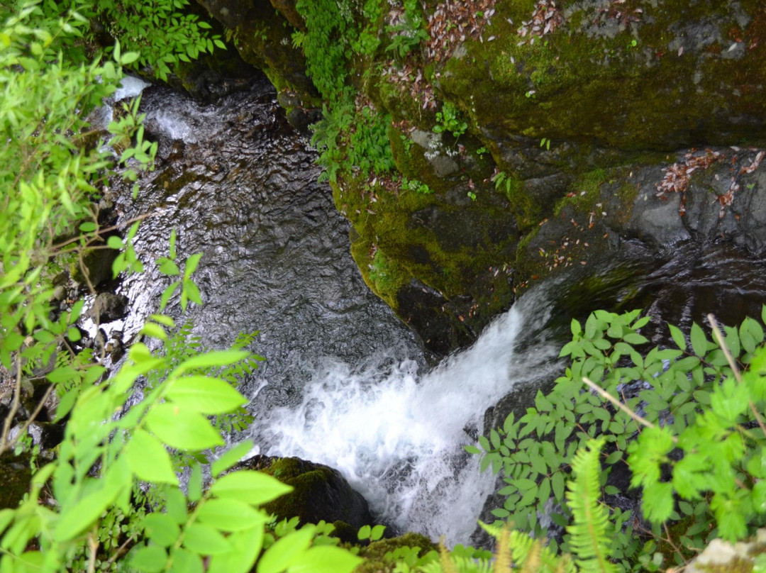 Ryusogadaki Falls景点图片