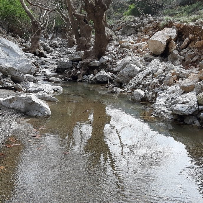 Deliana旅游攻略图片