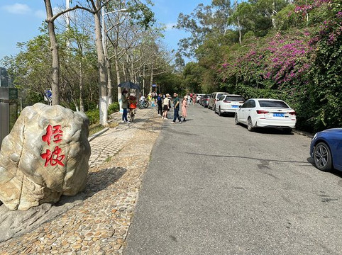 文曾路怪坡-厦门市必去景点