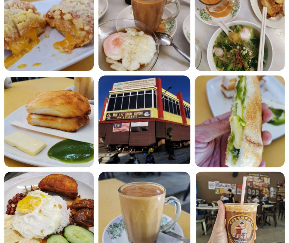 Raub Syc Hainan Kopitiam