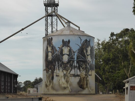Goorambat Silo Art-Goorambat必去景点