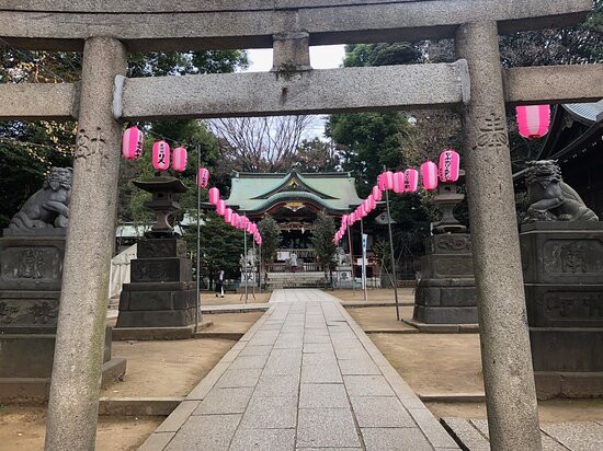 Hikawa Shrine景点图片