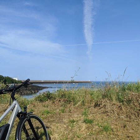Island E-Bikes景点图片