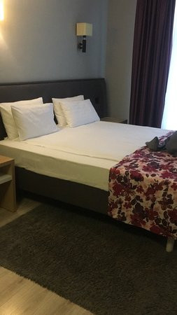 City Park Hotel主图