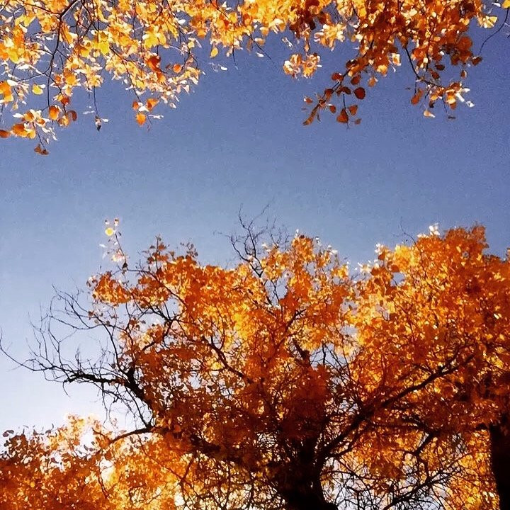 苏尼特右旗社保局旅游点-苏尼特右旗必去景点