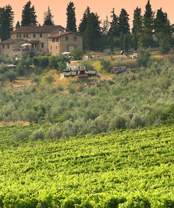 欧洲波尔多图片