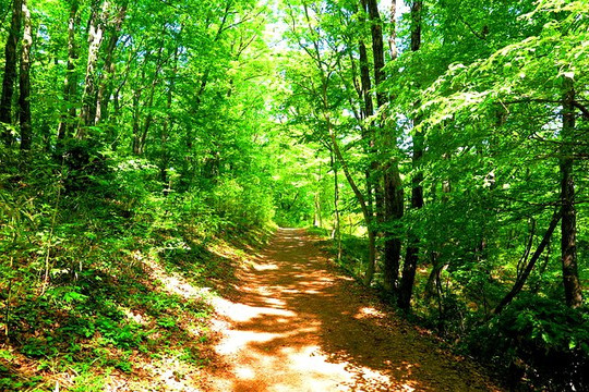 瑞穗町旅游攻略图片