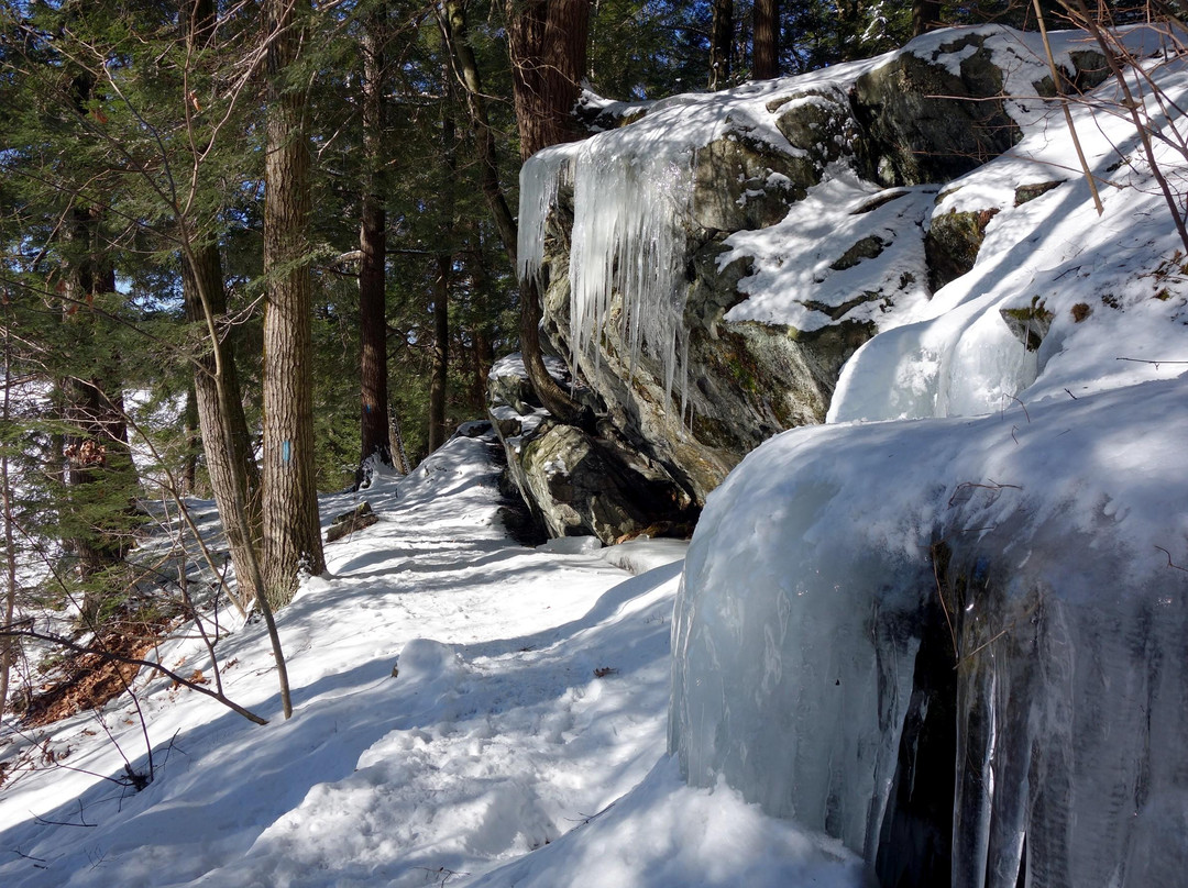 Monterey旅游攻略图片
