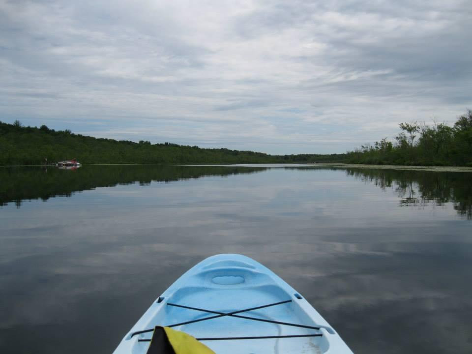 Kayak Shak景点图片
