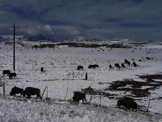 Fort Phil Kearny State Historic Site-Banner必去景点
