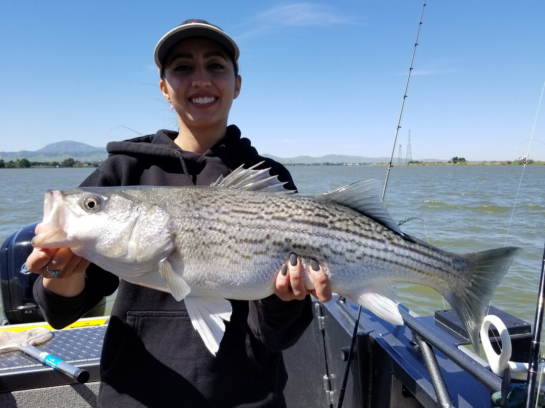 Fish Emeryville-埃默里维尔必去景点