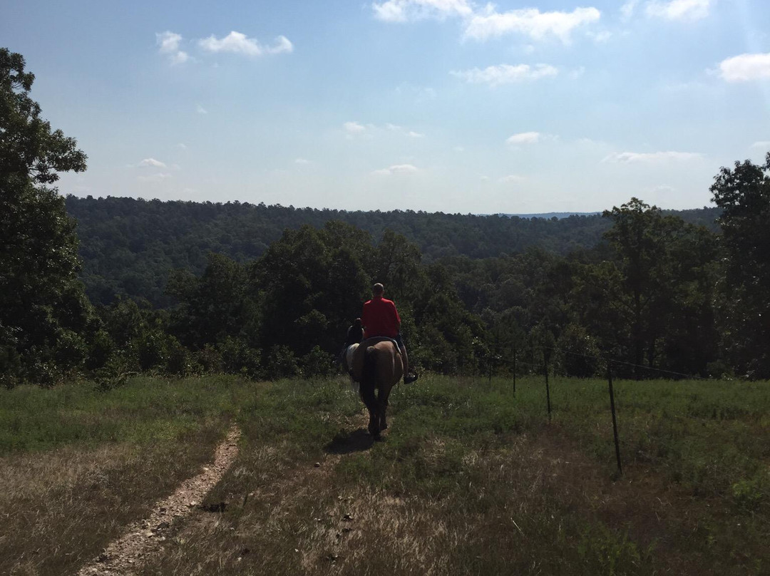 Dinner Bell Ranch and Resort-尤里卡斯普林斯必去景点