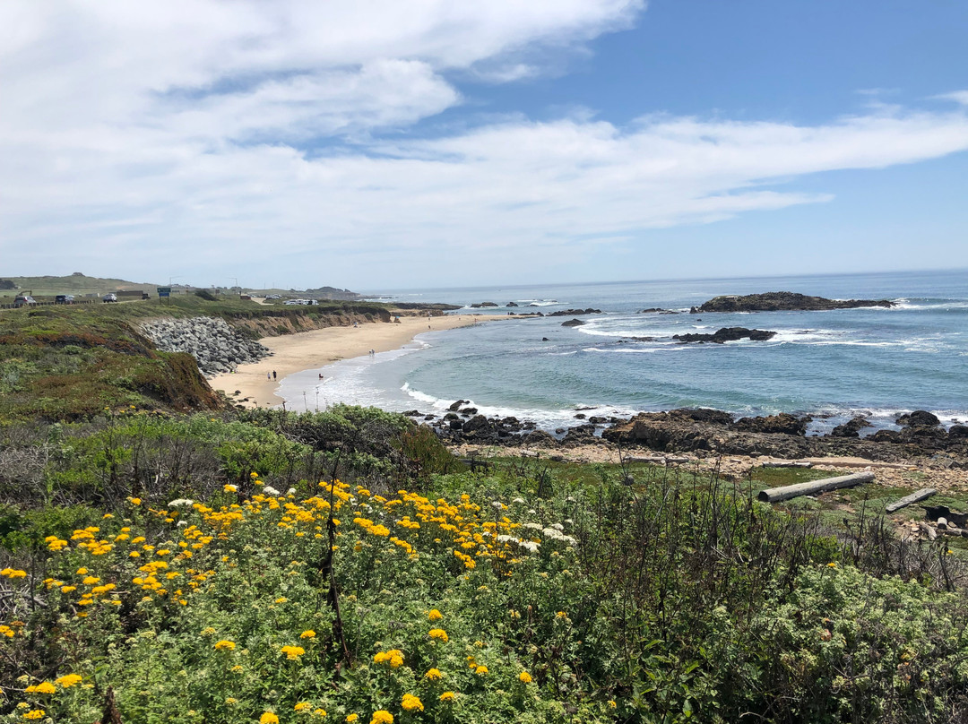 Pescadero State Beach景点图片