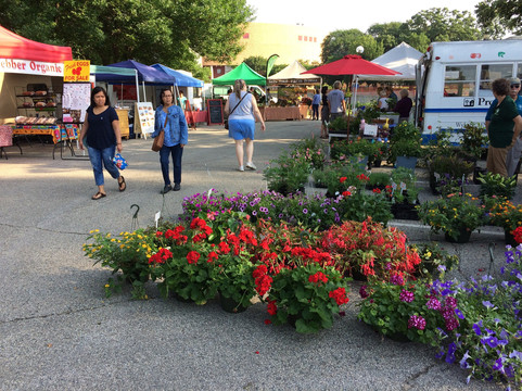 Rochester Downtown Farmer's Market-罗切斯特必去景点