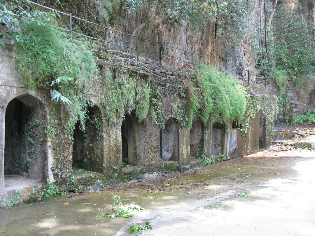 Pandav Falls and Caves景点图片