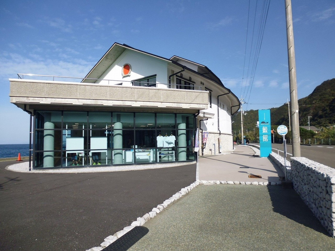 Whale Museum