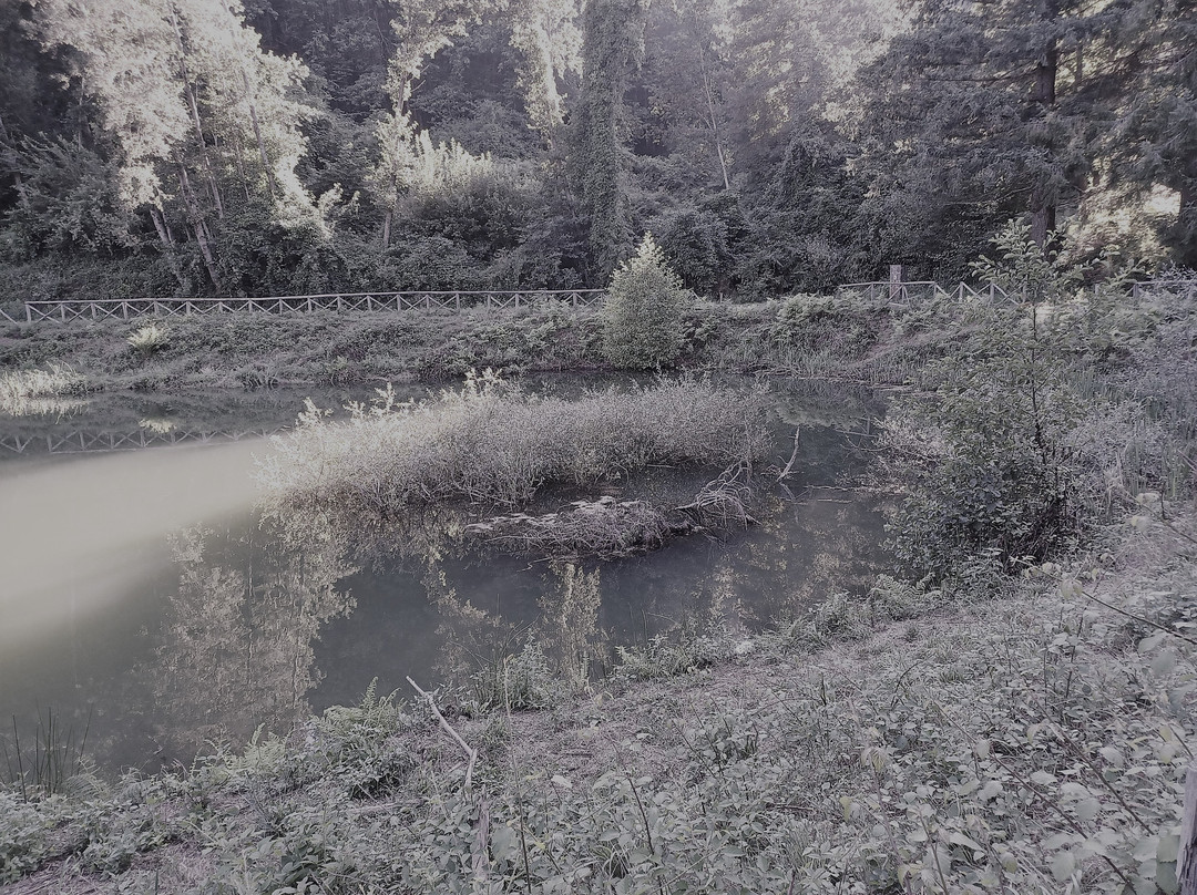 Lago Zimbe