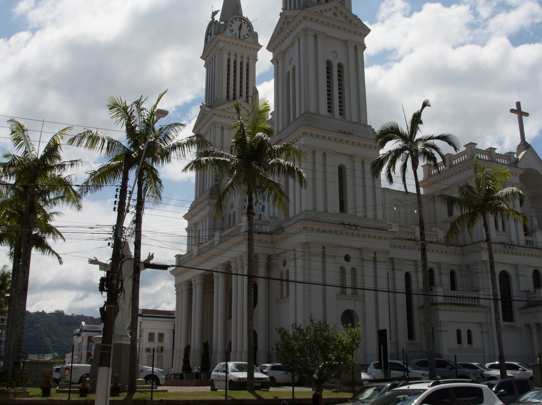 Catedral São João Batista景点图片