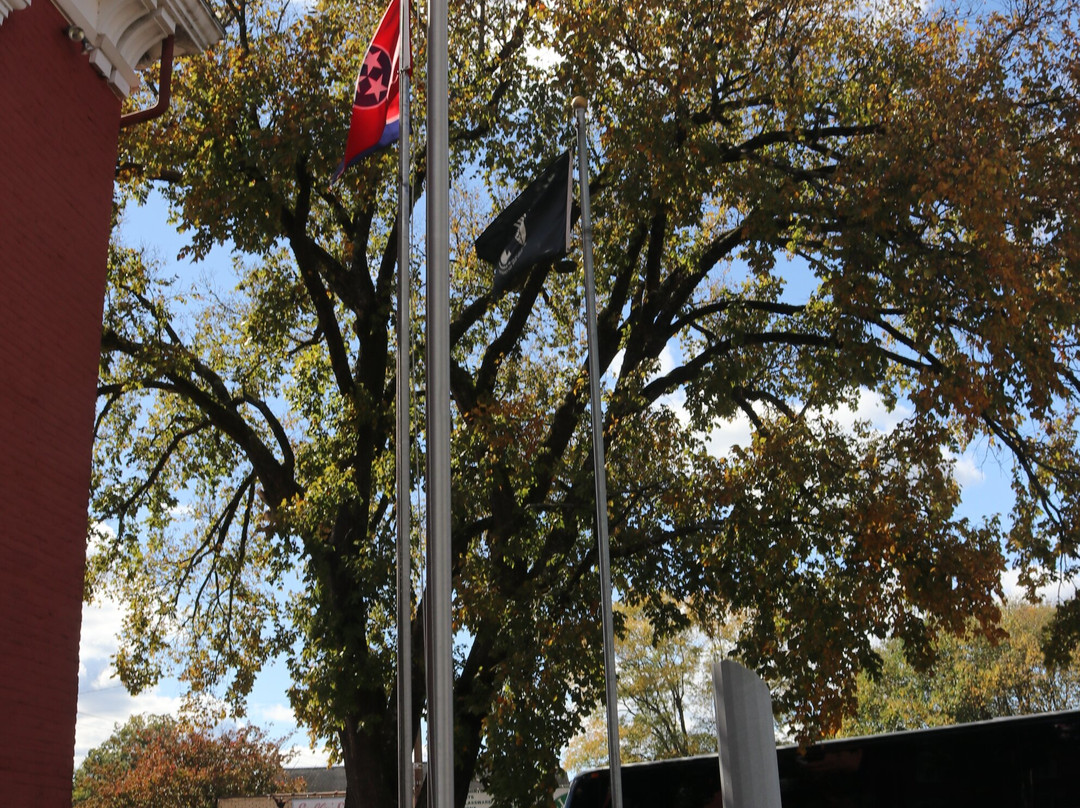 Moore County Veterans War Memorial景点图片