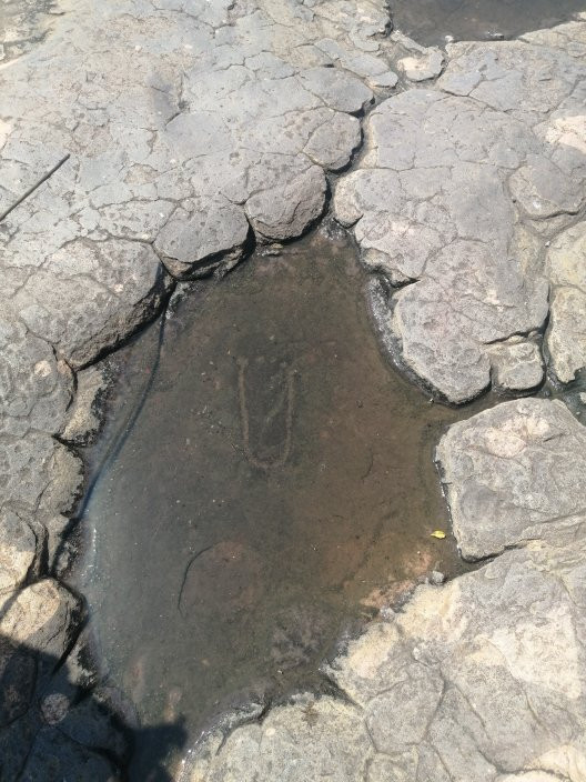 Matsieng's Footprints-嘉伯隆里必去景点