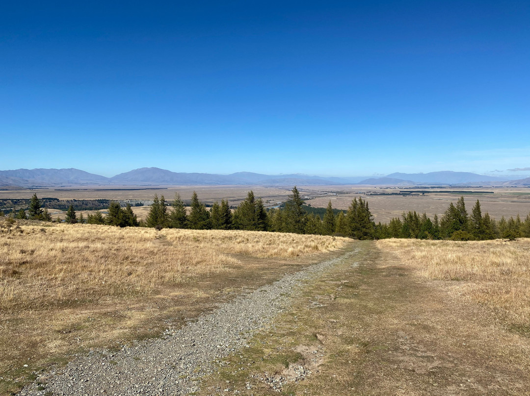 Mount John Summit Circuit Track景点图片