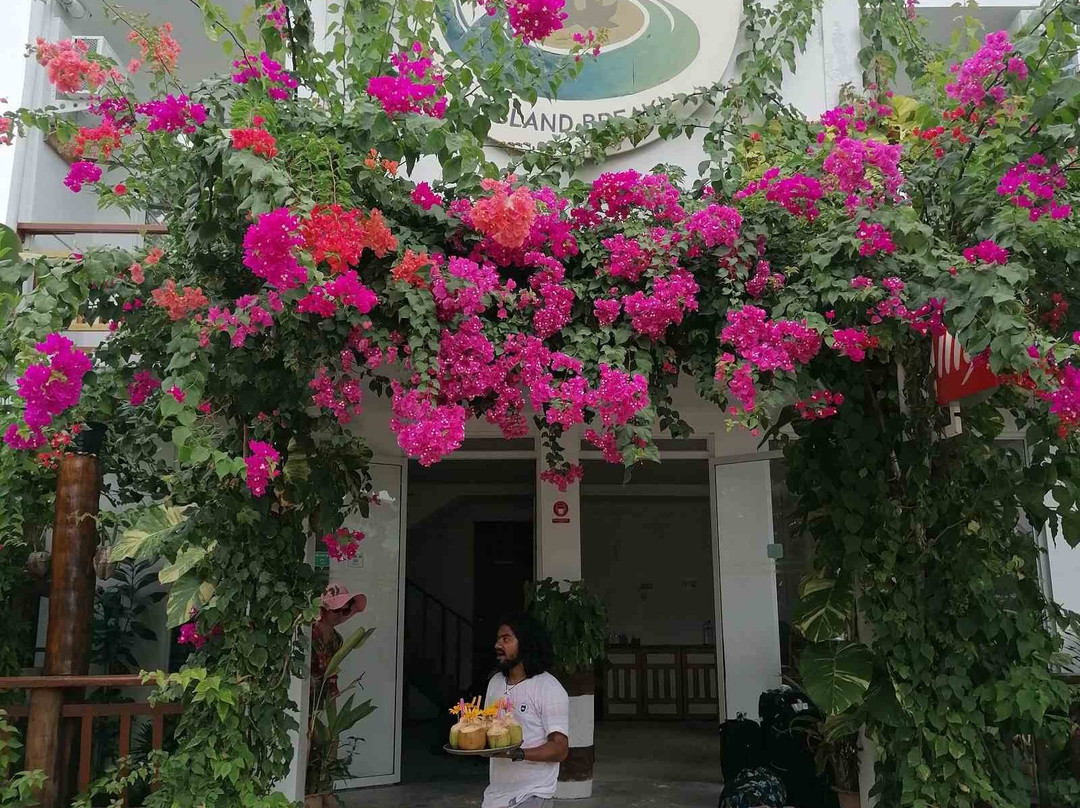 休闲岛屿酒店