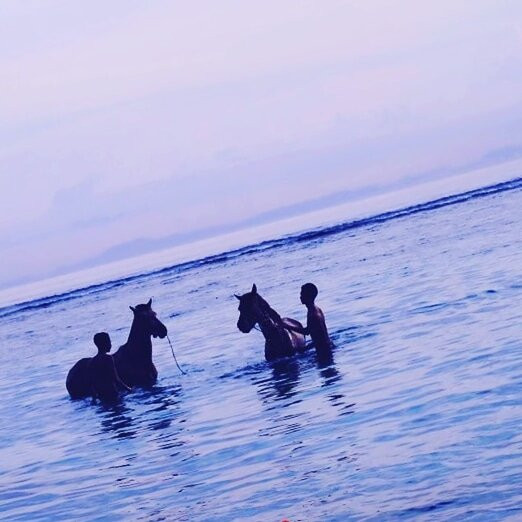 Jelogilis-龙目岛必去景点