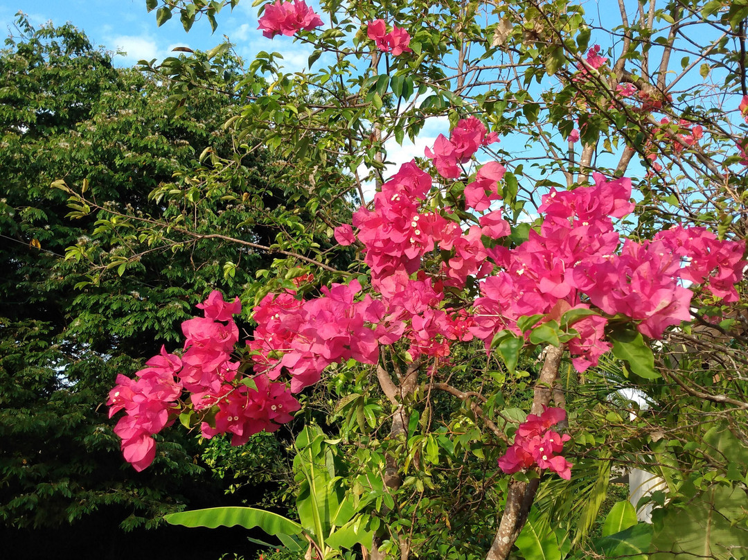 贝乐机场酒店主图