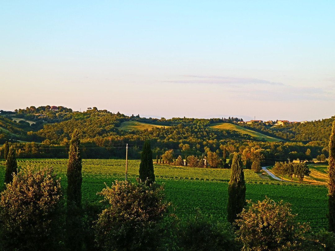 Olivi Le Buche Winery景点图片