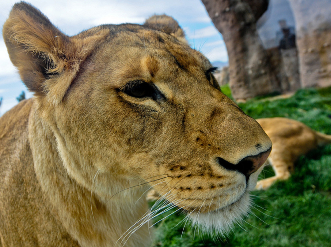 Holiday Inn El Paso Airport By IHG主图