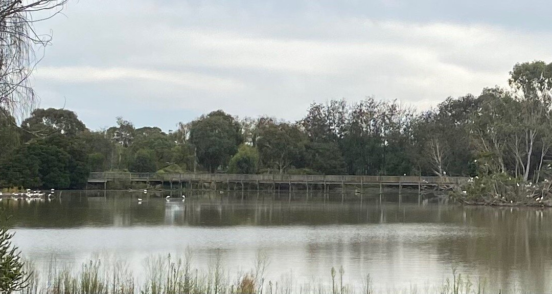 Lake Guyatt景点图片