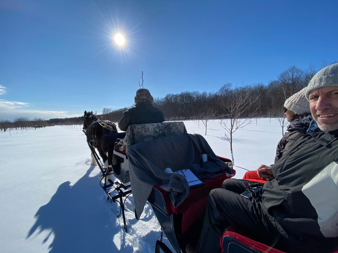Lautenbach's Orchard Country Winery & Market-Fish Creek必去景点