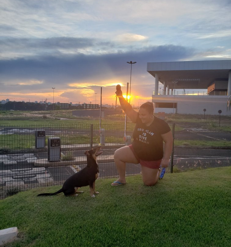 Golden Tower Aeroporto - Lizz - by Fênix Hotéis主图