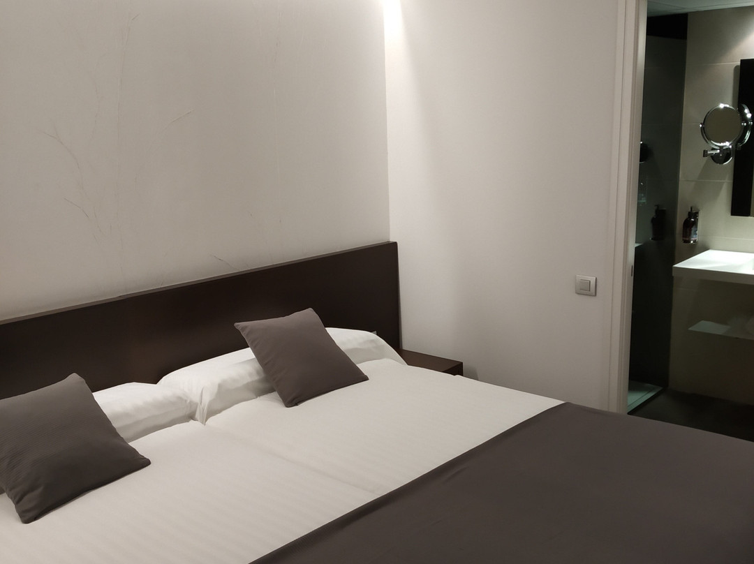 奥洛特酒店主图