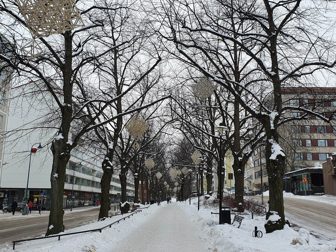 Linden Esplanade-科特卡必去景点