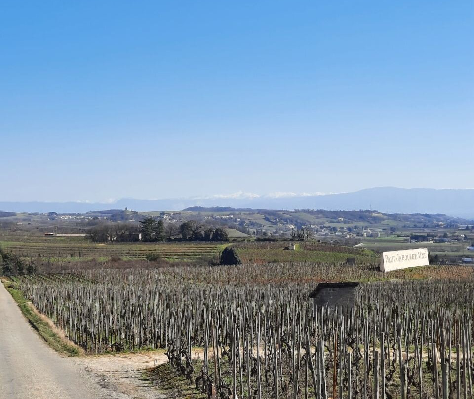 Stations Bee's Tournon-sur-Rhone - Location vélos électriques景点图片