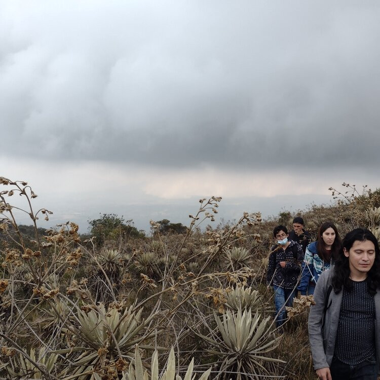 Parque Nacional Natural Sumapaz-波哥大必去景点